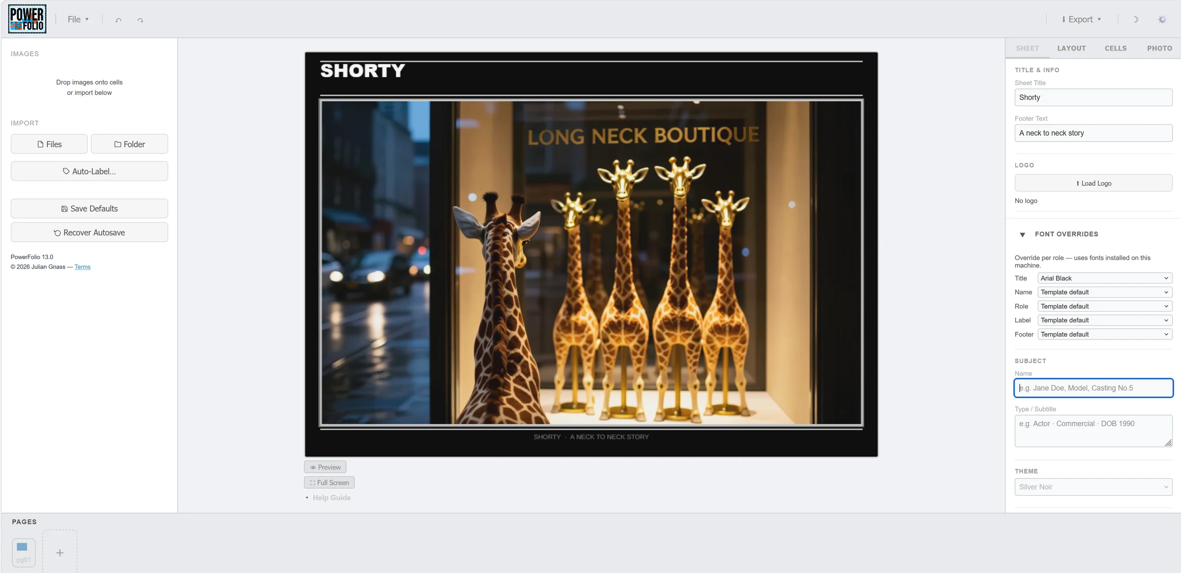 PowerFolio interface showing Silver Noir project
